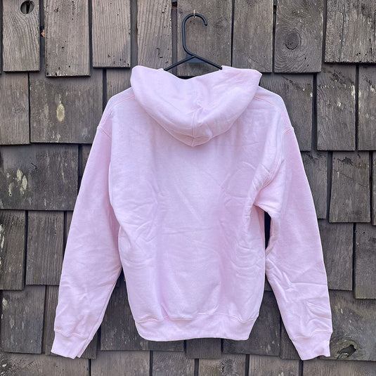 Youth Have You Seen Him Hoodie - Back