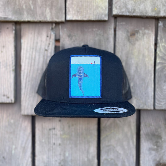Jonas Draws Whale Shark Patch Hat